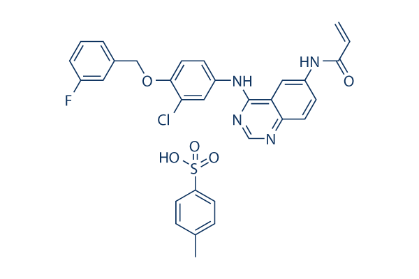 Allitinib tosylate (Synonyms: AST-1306 (TsOH))/897383-62-9 Free base