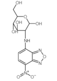NBD-Glucose