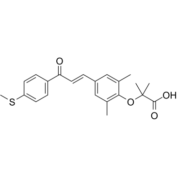 GFT505; elafibranor E