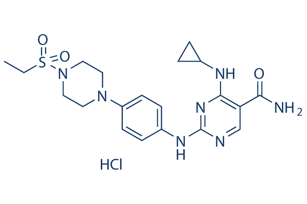 Cerdulatinib Hydrochloride