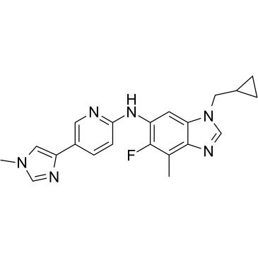 ONO-8590580