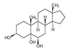 YC6