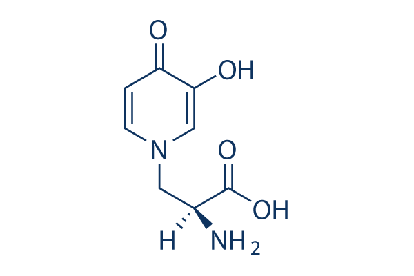 ​L-Mimosine