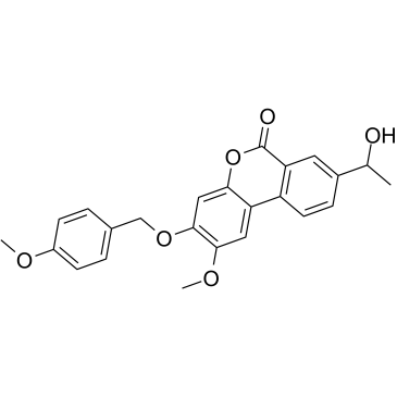 Palomid 529; P529