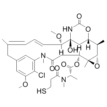 ​Mertansine (DM1)