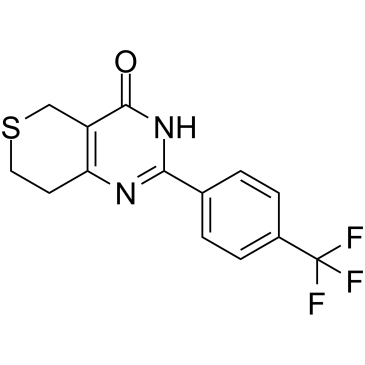 XAV939