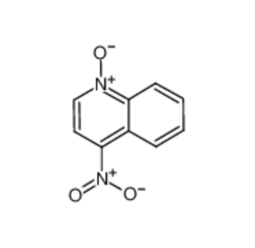 4-Nitroquinoline N-oxide(4NQO)