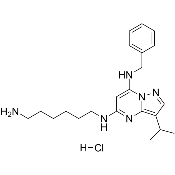 BS-181 hydrochloride