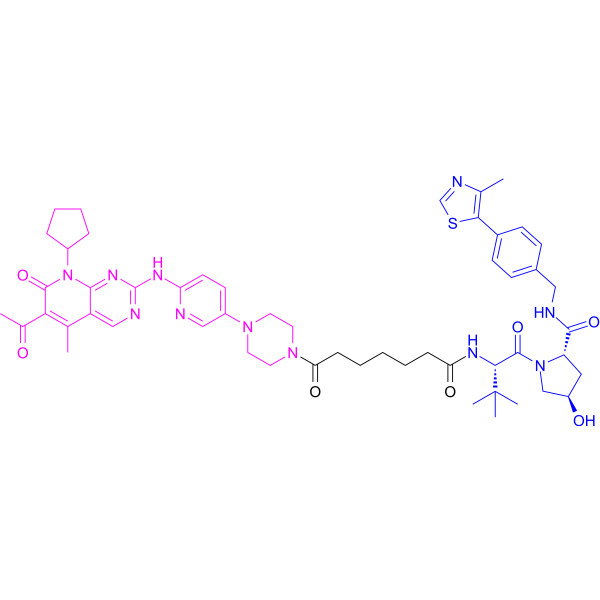 XY028-133