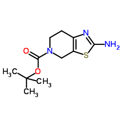 TERT-BUTYL 2-AMINO-6,7-DIHYDROTHIAZOLO[5,4-C]PYRIDINE-5(4H)-CARBOXYLATE