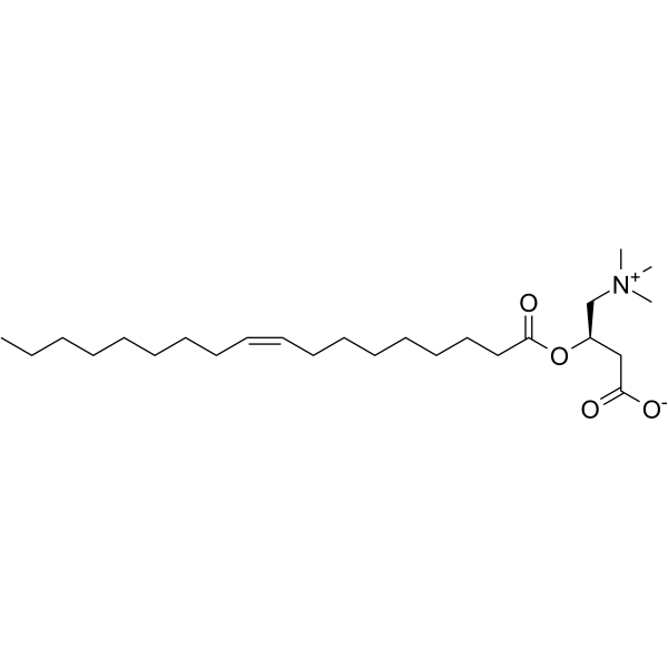 Oleoylcarnitine