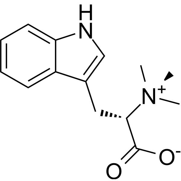 Hypaphorine