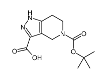 1,4,6,7-Tetrahydro-pyrazolo[4,3-c]pyridine-3,5-dicarboxylic acid 5-tert-butyl ester