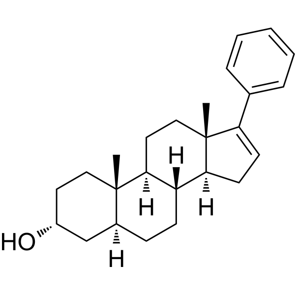 17-PA