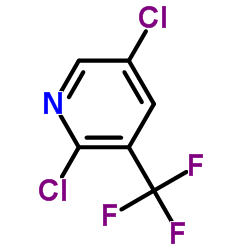 2,5-DICHLORO-3-(TRIFLUOROMETHYL)PYRIDINE