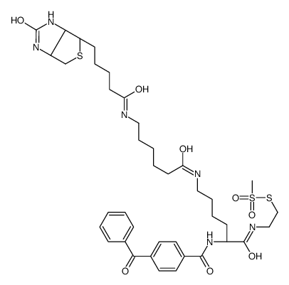 甲基硫代磺酸2-[Nα-苯甲酰基苯甲酰氨基-N6-(6-生物素氨基己酰基)-L-赖氨酰胺基]乙基