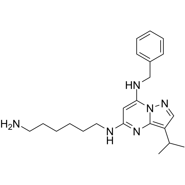 N5-(6-氨基己基)-N7-苄基-3-异丙基吡唑并[1,5-a]嘧啶-5,7-二胺