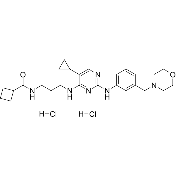 MRT 67307 dihydrochloride
